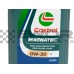 CASTROL FORD MAGNATEC PROFESSIONAL D 0W30 1L