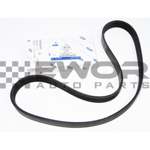 Pasek wieloklinowy FOCUS III / MONDEO IV / C-MAX / GRAND C-MAX -  1.6 Duratec Ti-VCT (FORD Oryginał - 1692105)