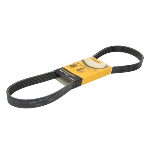 Pasek wieloklinowy FORD FOCUS III / MONDEO IV / C-MAX / GRAND C-MAX - 1.6 Duratec Ti-VCT (CONTITECH - 6 PK 1033 ELAST) Pasek wieloklinowy FORD FOCUS III / MONDEO IV / C-MAX / GRAND C-MAX - 1.6 Duratec Ti-VCT (CONTITECH - 6 PK 1033 ELAST)