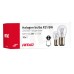 Żarówki halogenowe P21/5W BAY15D 24V 21W/5W 10 szt. (E4) AMIO-01007