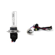 Żarówka ksenonowa żarnik hid xenon H7M 6000K metal AMIO-01427