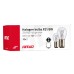 Żarówki halogenowe P21/5W BAY15D 12V 21W/5W 10 szt. (E8) AMIO-01488