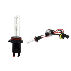 Żarówka ksenonowa żarnik hid xenon HB4 9006 6000K AMIO-01993
