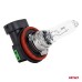 Żarówka halogenowa H9 12V 65W PGJ19-5 AMIO-04518