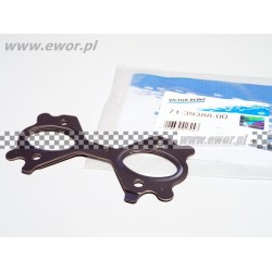 Uszczelka kolektora wydechowego BMW 3 (E90), 3 (E91), 3 (E92), 5 (E60), 5 (E61), 6 (E63), 6 (E64), X3 (E83), X5 (E70), X6 (E71, E72) 3.0D 03.06-07.13 (REINZ-713938800)